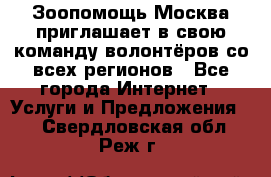 Зоопомощь.Москва приглашает в свою команду волонтёров со всех регионов - Все города Интернет » Услуги и Предложения   . Свердловская обл.,Реж г.